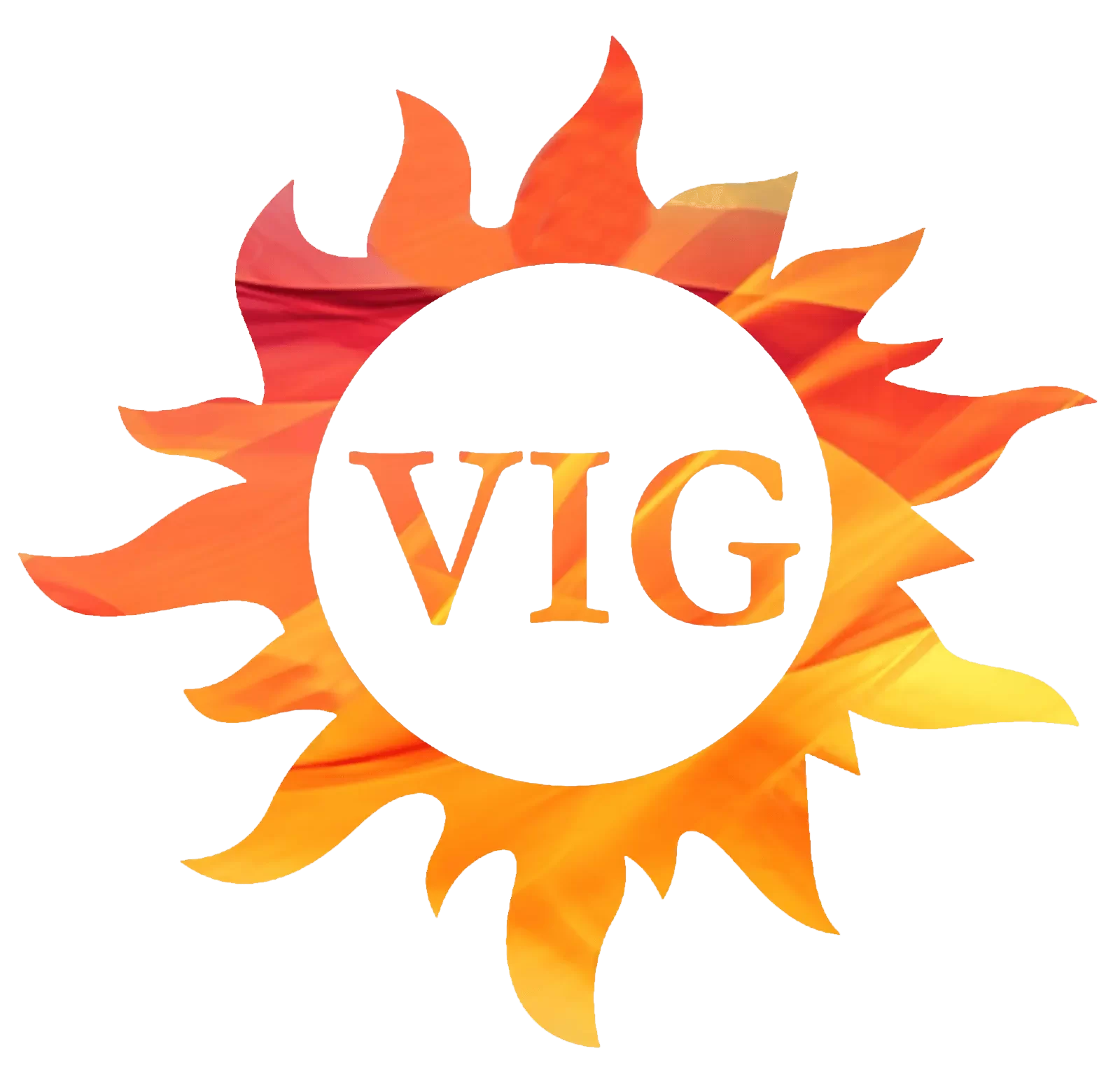 Vig Studio